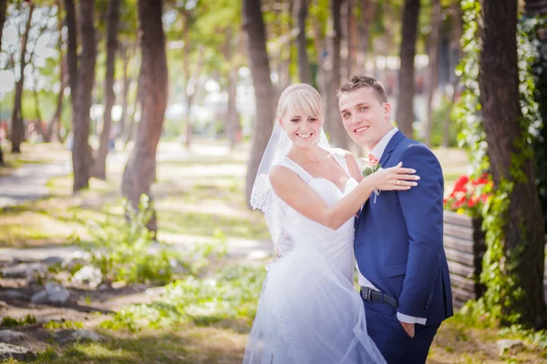 Bride plays with the veil — Stock Photo, Image