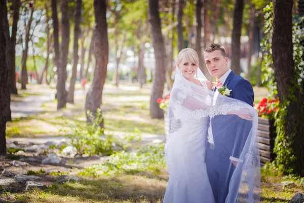 Bride and groom in summer park — Stock Photo, Image