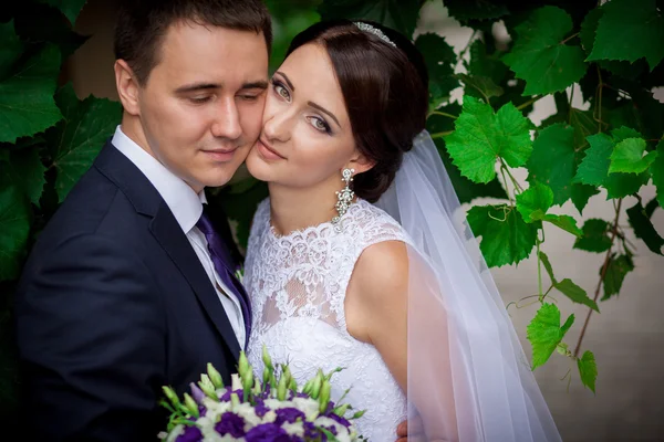 Bruden och brudgummen gröna blad — Stockfoto