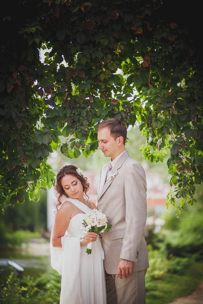 Sposo, sposa, natura, arco — Foto Stock