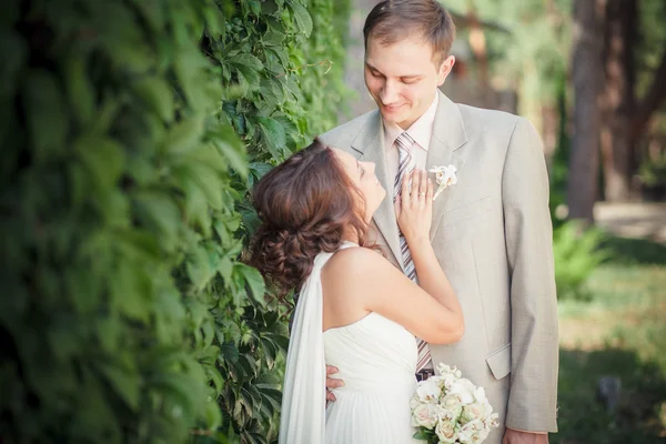 Sposo e parete sposa — Foto Stock