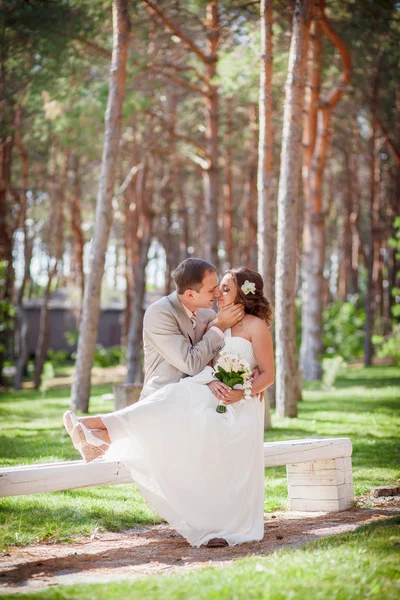 Pareja de boda — Foto de Stock