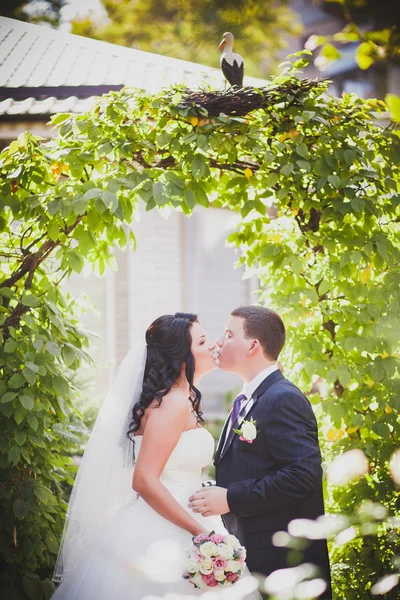 Casamento paisagismo — Fotografia de Stock