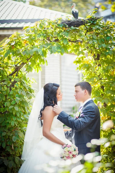 Matrimonio coppia — Foto Stock