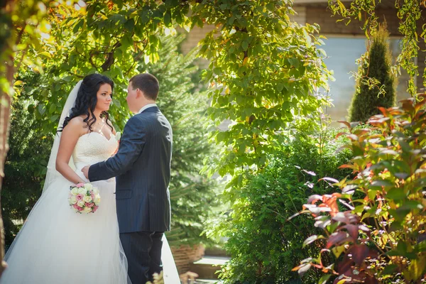 Casamento paisagismo — Fotografia de Stock