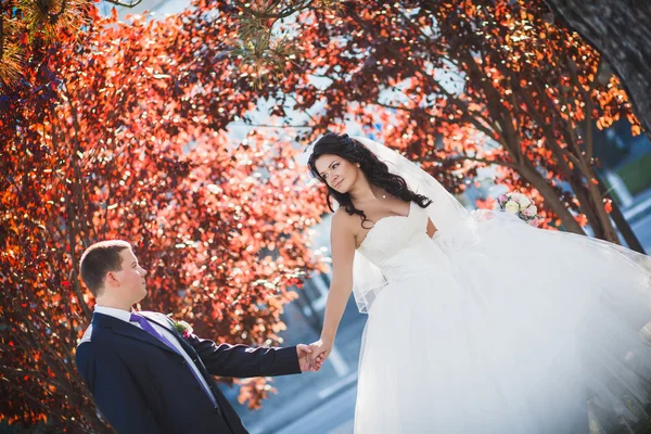 秋の結婚式 — ストック写真