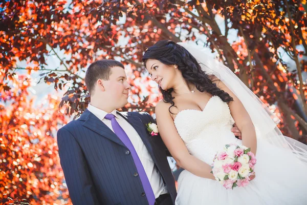 Rojo boda — Foto de Stock