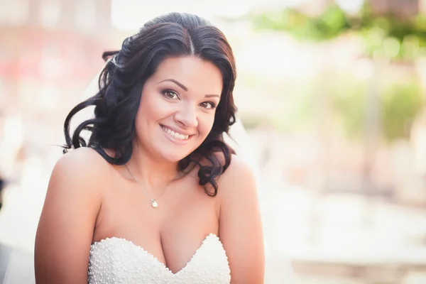 Smiling bride Stock Image