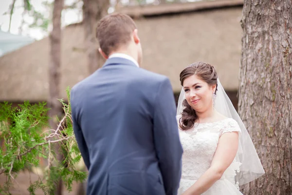 Bella sposa e sposo nel parco — Foto Stock