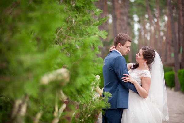 公園での結婚式 — ストック写真