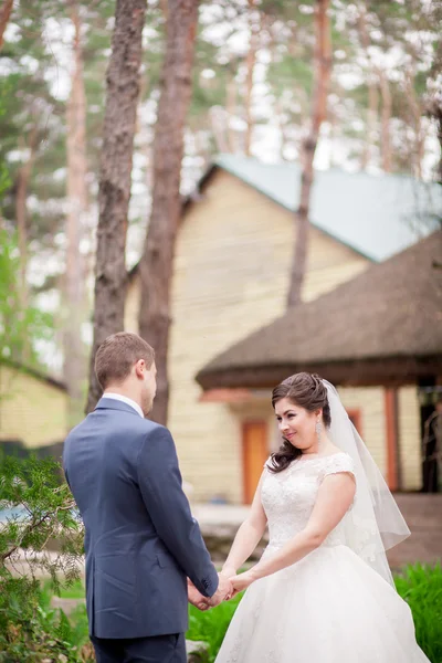 Wedding in park — Stock Photo, Image