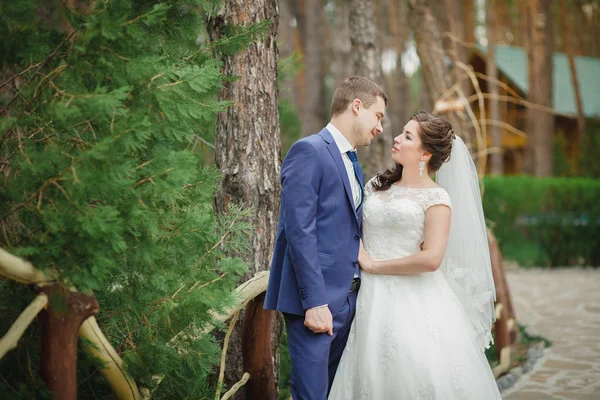 Красивая невеста и жених в парке — стоковое фото