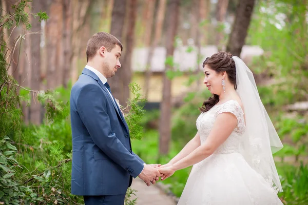 Casamento — Fotografia de Stock