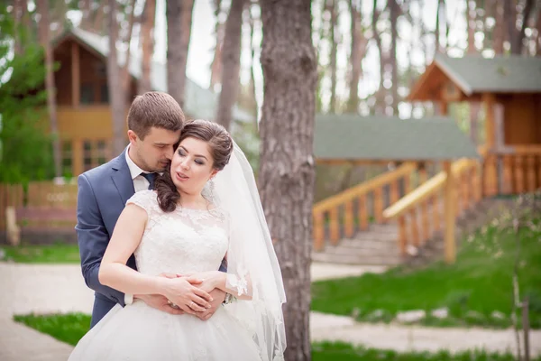 Wedding in park — Stock Photo, Image