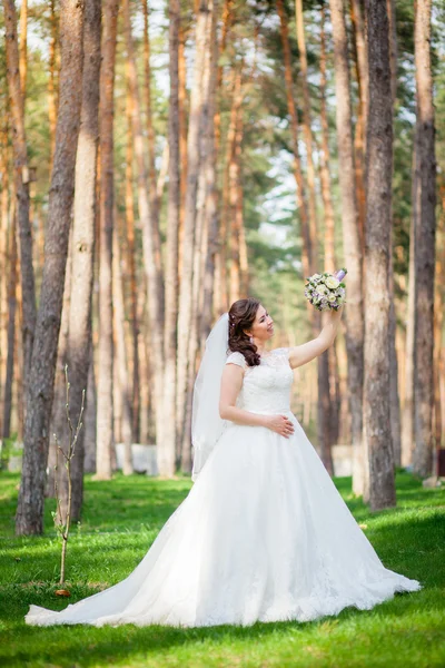 Casamento clássico — Fotografia de Stock