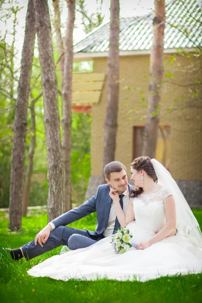 Beautiful bride and groom — Stock Photo, Image