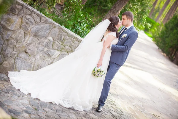 Beautiful bride and groom — Stock Photo, Image