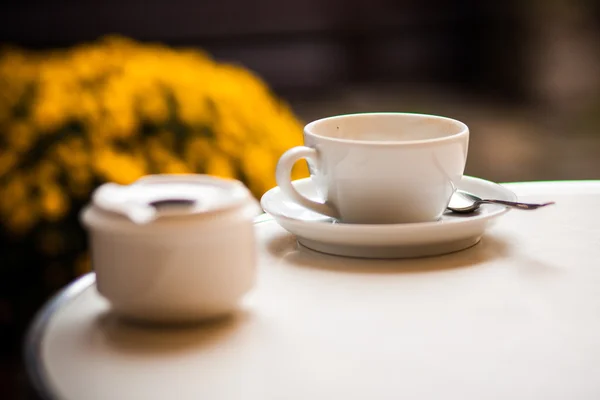 Theepot en cup in een café — Stockfoto