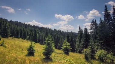 Yeşil alan Timelapse bulutlar. Full Hd