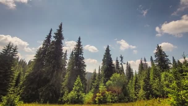 Timelapse clouds over the green field. FULL HD — Stock Video