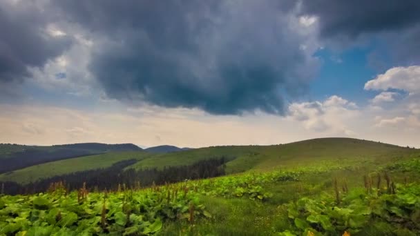 Zelené pole a zatažená obloha — Stock video