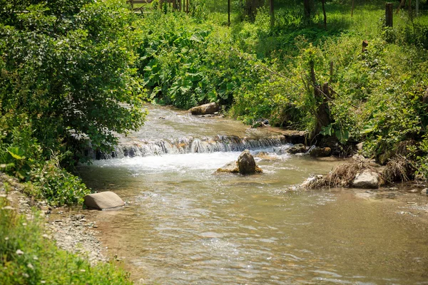 Pequena cachoeira em um rio de montanha — Fotografia de Stock