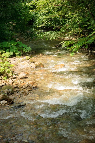 Rio de montanha tranquila no verão — Fotografia de Stock