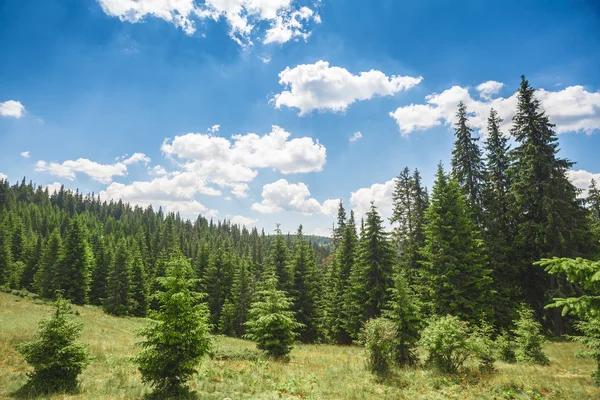 Cresta de montaña cubierta de hierba verde — Foto de Stock