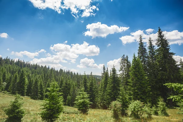 Ukrainische Berge — Stockfoto