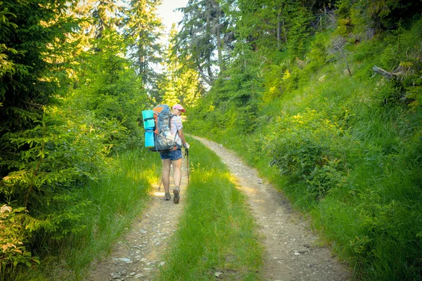 Woman with a backpack on the trail Stock Picture