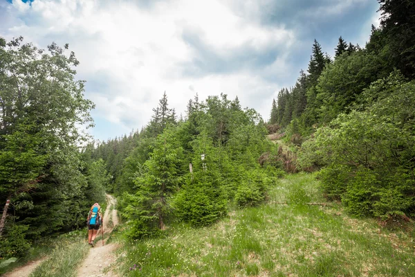 Žena, která stála na vrcholu hory — Stock fotografie