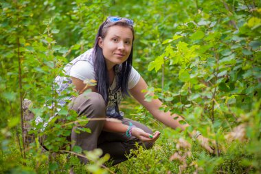 yaban mersini toplama kadın