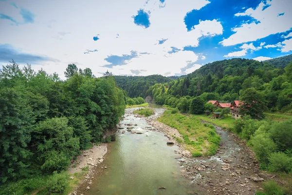 Mountain stream — Stock Photo, Image