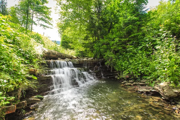 Bach im Wald — Stockfoto