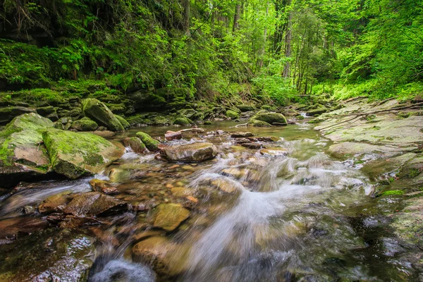 Corriente de montaña — Foto de Stock