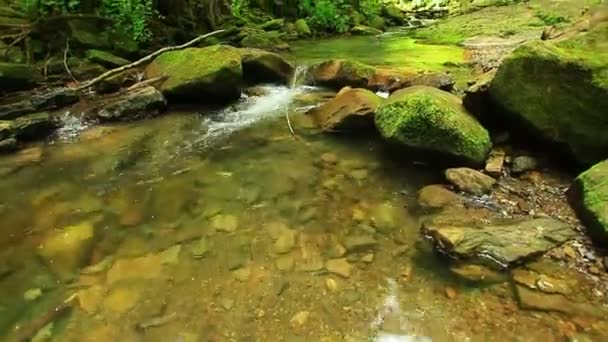 petite rivière de montagne