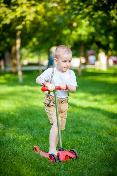 Мальчик играет на траве — стоковое фото