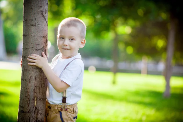 Boy hiding behind a tree — Stock Photo, Image