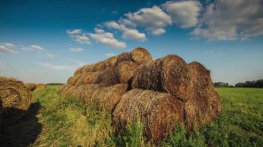 bir alanda gün batımında saman
