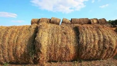 balya saman alanında