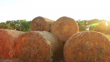 balya saman alanında