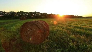 balya saman alanında