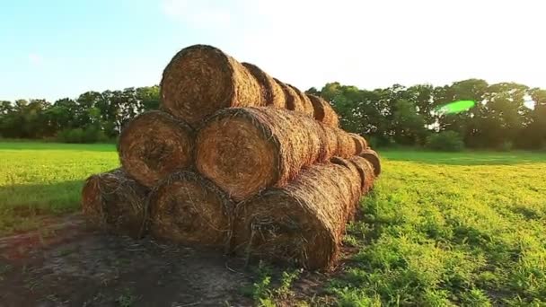 Viejo campo de heno — Vídeos de Stock