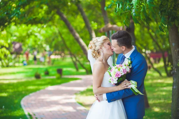 Young beautiful wedding couple in the park — Stock Photo, Image