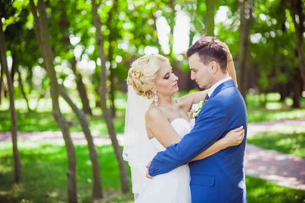 nazik kucaklama gelin ve damat