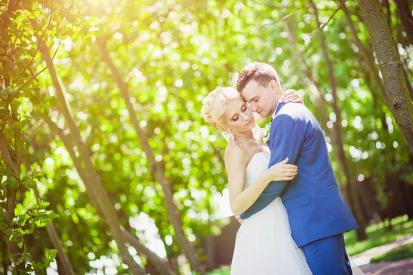 Casal doce — Fotografia de Stock