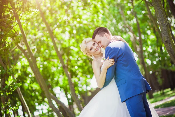 Sposo abbracci sposa — Foto Stock