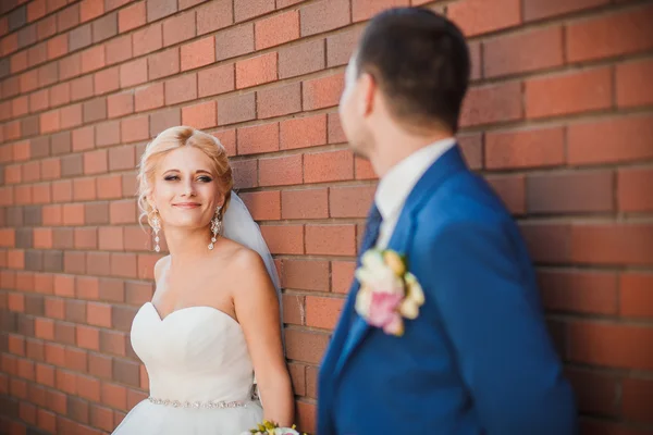 Jeune beau couple de mariage dans le parc — Photo