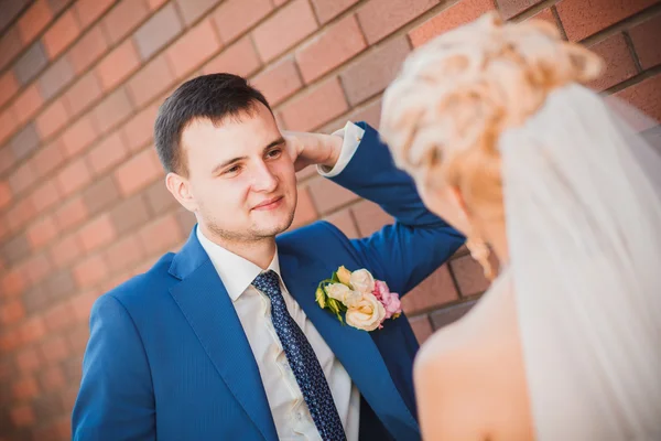 Joven pareja de boda amorosa — Foto de Stock