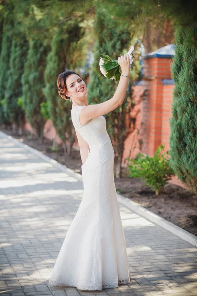 Bride wedding — Stock Photo, Image